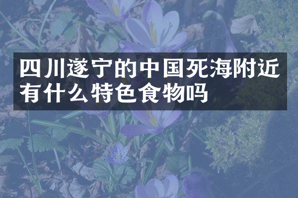 四川遂宁的中国死海附近有什么特色食物吗