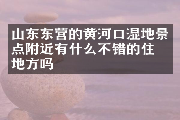 山东东营的黄河口湿地景点附近有什么不错的住的地方吗