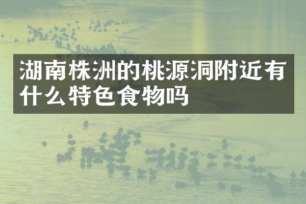湖南株洲的桃源洞附近有什么特色食物吗