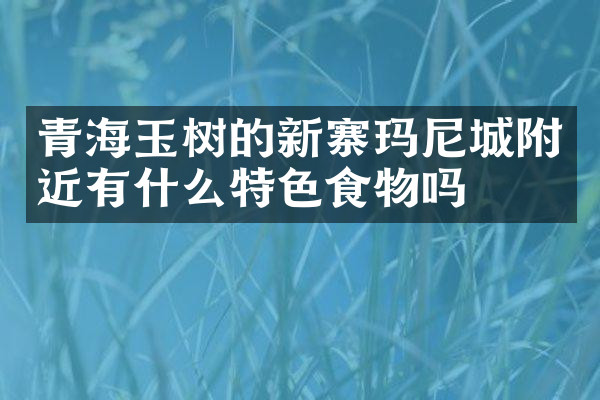青海玉树的新寨玛尼城附近有什么特色食物吗