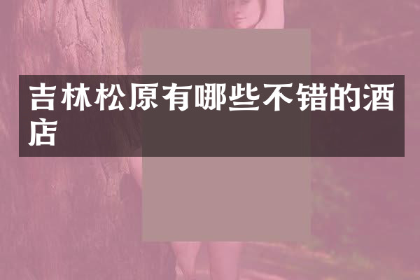吉林松原有哪些不错的酒店