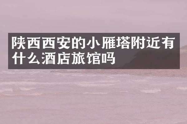 陕西西安的小雁塔附近有什么酒店旅馆吗
