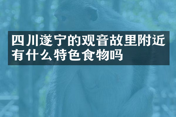 四川遂宁的观音故里附近有什么特色食物吗