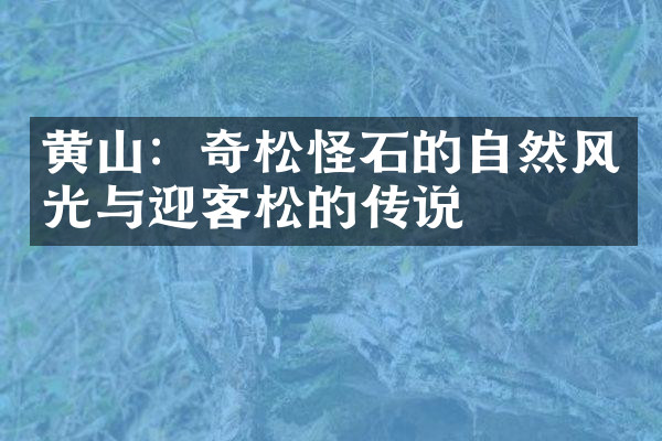 黄山：奇松怪石的自然风光与迎客松的传说