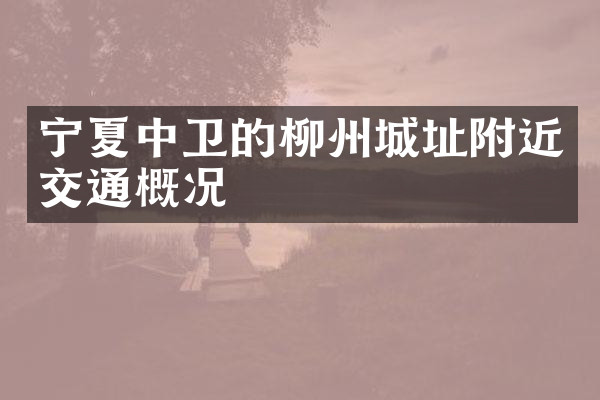 宁夏中卫的柳州城址附近交通概况