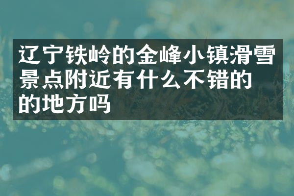 辽宁铁岭的金峰小镇滑雪景点附近有什么不错的住的地方吗