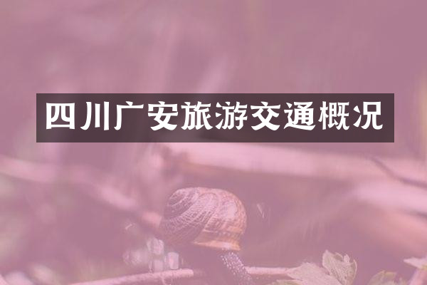 四川广安旅游交通概况