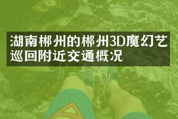 湖南郴州的郴州3D魔幻艺术巡回附近交通概况