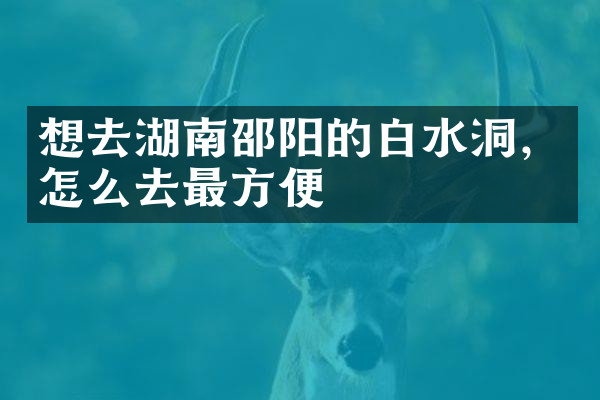 想去湖南邵阳的白水洞，怎么去最方便