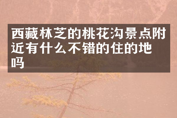 西藏林芝的桃花沟景点附近有什么不错的住的地方吗