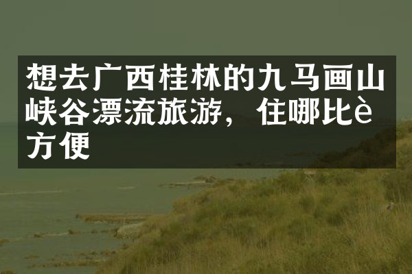 想去广西桂林的九马画山峡谷漂流旅游，住哪比较方便