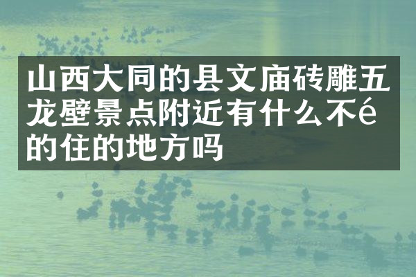 山西大同的县文庙砖雕五龙壁景点附近有什么不错的住的地方吗