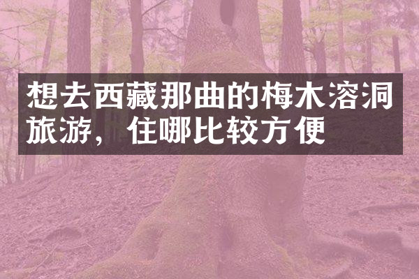 想去西藏那曲的梅木溶洞旅游，住哪比较方便