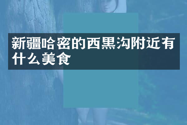 新疆哈密的西黑沟附近有什么美食