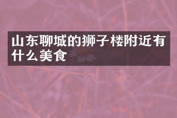 山东聊城的狮子楼附近有什么美食