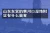 山东东营的黄河口湿地附近有什么美食