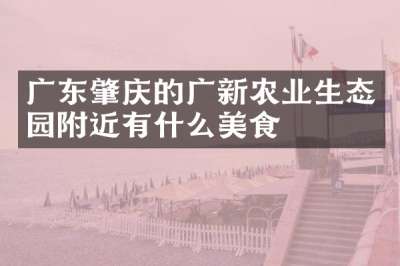 广东肇庆的广新农业生态园附近有什么美食