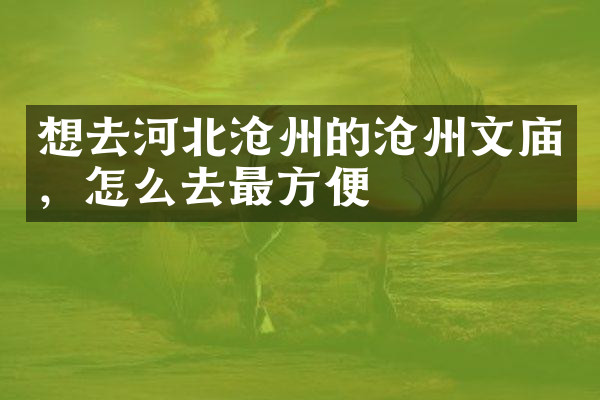 想去河北沧州的沧州文庙，怎么去最方便