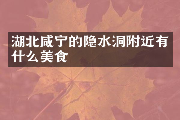湖北咸宁的隐水洞附近有什么美食