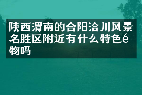 陕西渭南的合阳洽川风景名胜区附近有什么特色食物吗