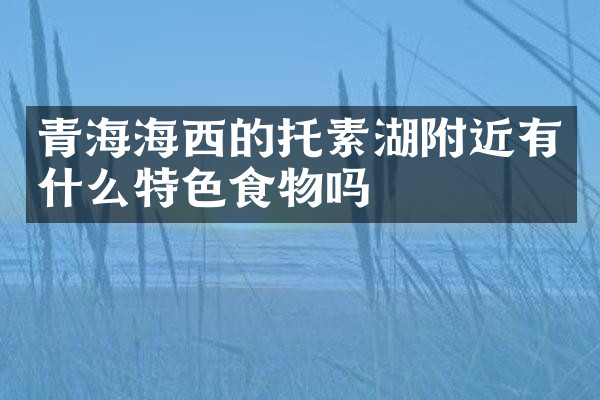 青海海西的托素湖附近有什么特色食物吗