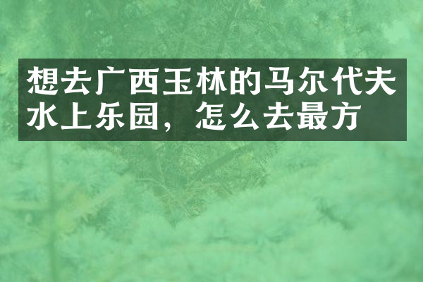 想去广西玉林的马尔代夫水上乐园，怎么去最方便