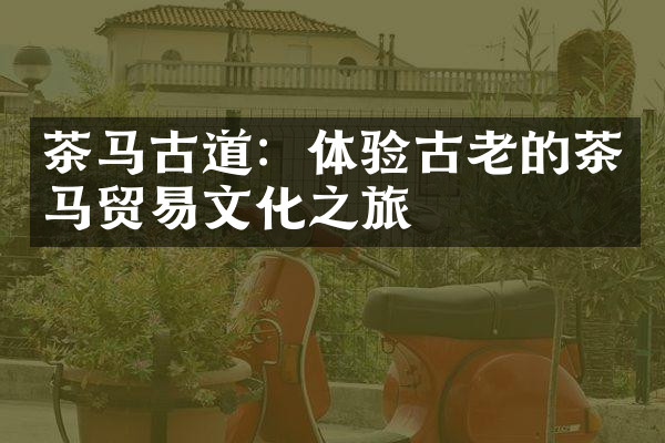 茶马古道：体验古老的茶马贸易文化之旅