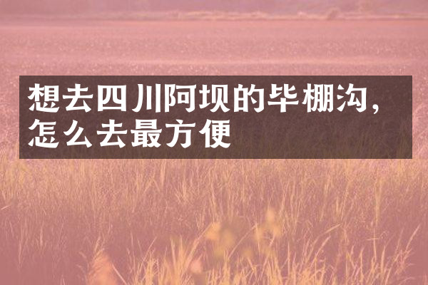 想去四川阿坝的毕棚沟，怎么去最方便