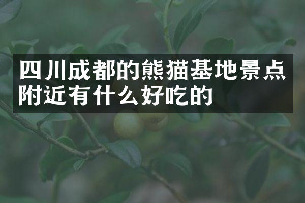 四川成都的熊猫基地景点附近有什么好吃的