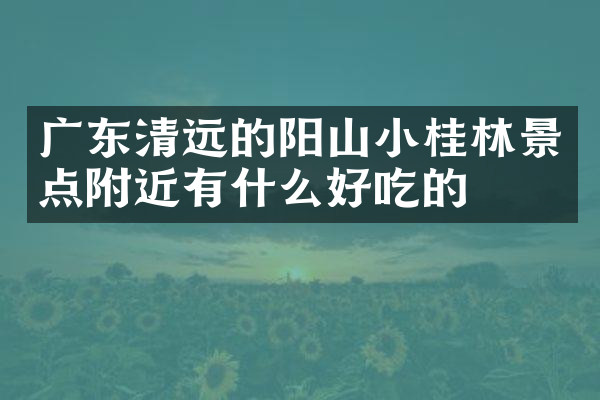 广东清远的阳山小桂林景点附近有什么好吃的