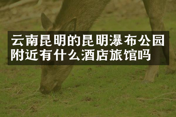 云南昆明的昆明瀑布公园附近有什么酒店旅馆吗