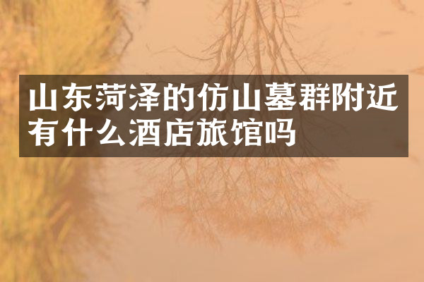 山东菏泽的仿山墓群附近有什么酒店旅馆吗