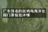 广东茂名的放鸡岛海洋公园门票信息详情