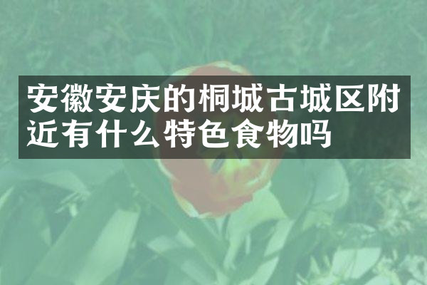 安徽安庆的桐城古城区附近有什么特色食物吗