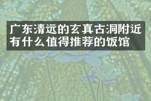 广东清远的玄真古洞附近有什么值得推荐的饭馆吗