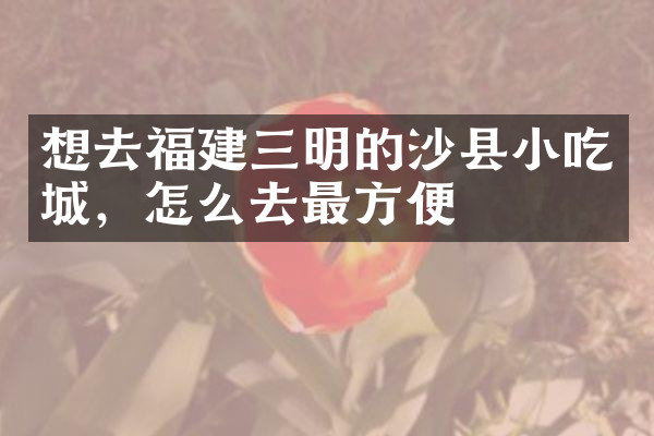 想去福建三明的沙县小吃城，怎么去最方便