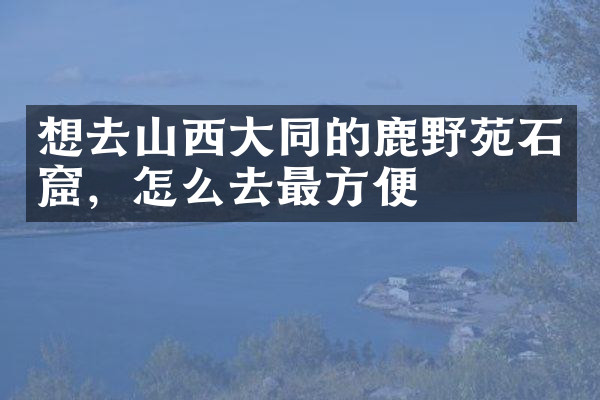 想去山西大同的鹿野苑石窟，怎么去最方便