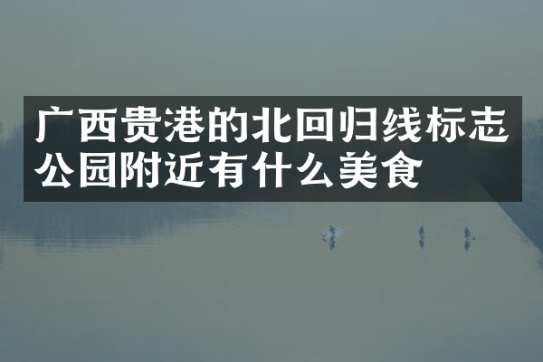 广西贵港的北回归线标志公园附近有什么美食