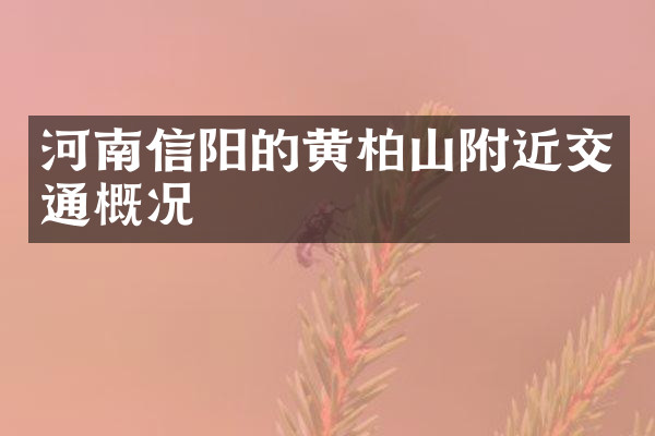 河南信阳的黄柏山附近交通概况