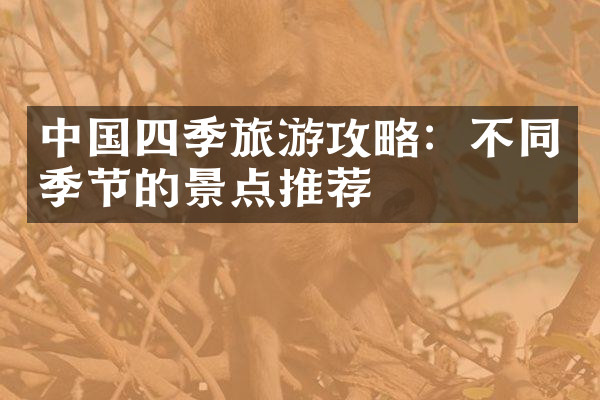 中国四季旅游攻略：不同季节的景点推荐