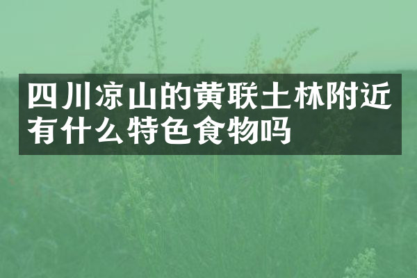 四川凉山的黄联土林附近有什么特色食物吗
