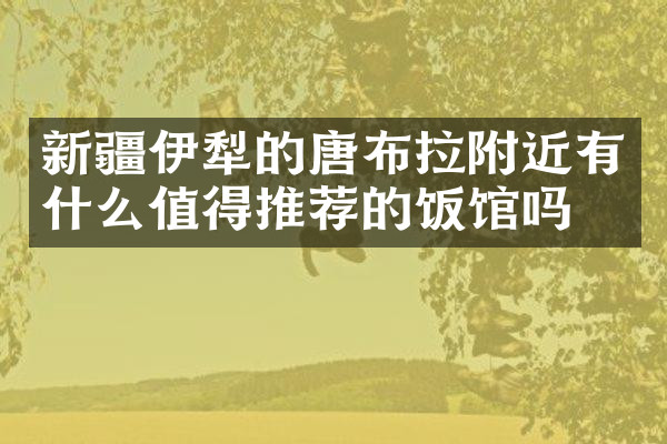 新疆伊犁的唐布拉附近有什么值得推荐的饭馆吗