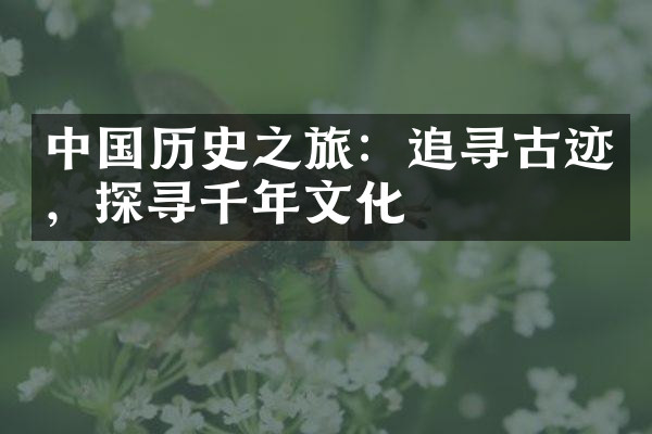 中国历史之旅：追寻古迹，探寻千年文化