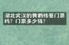 湖北武汉的黄鹤楼要门票吗？门票多少钱？