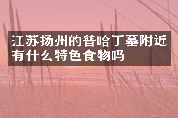 江苏扬州的普哈丁墓附近有什么特色食物吗