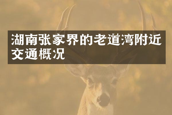 湖南张家界的老道湾附近交通概况