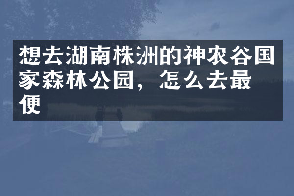 想去湖南株洲的神农谷国家森林公园，怎么去最方便