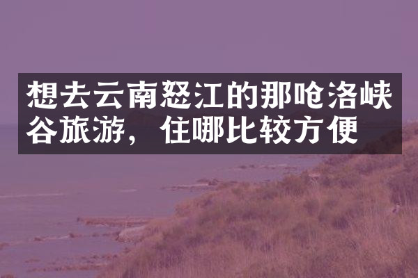 想去云南怒江的那呛洛峡谷旅游，住哪比较方便