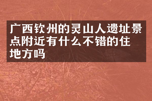 广西钦州的灵山人遗址景点附近有什么不错的住的地方吗