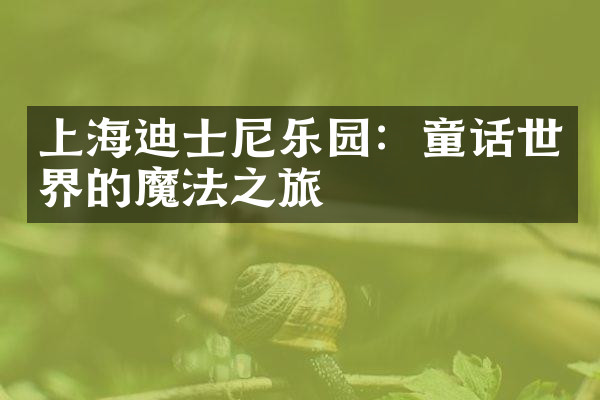 上海迪士尼乐园：童话世界的魔法之旅